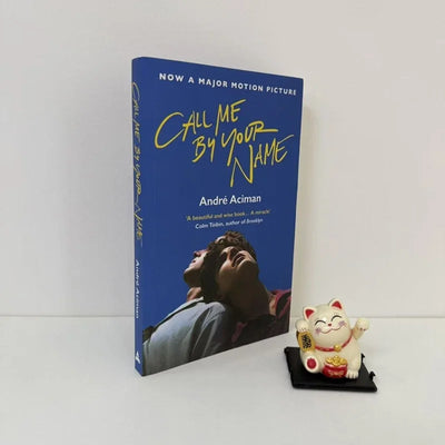 Books English Version Please Call Me By Your Name English Books Movie Book of The Same Name English Book